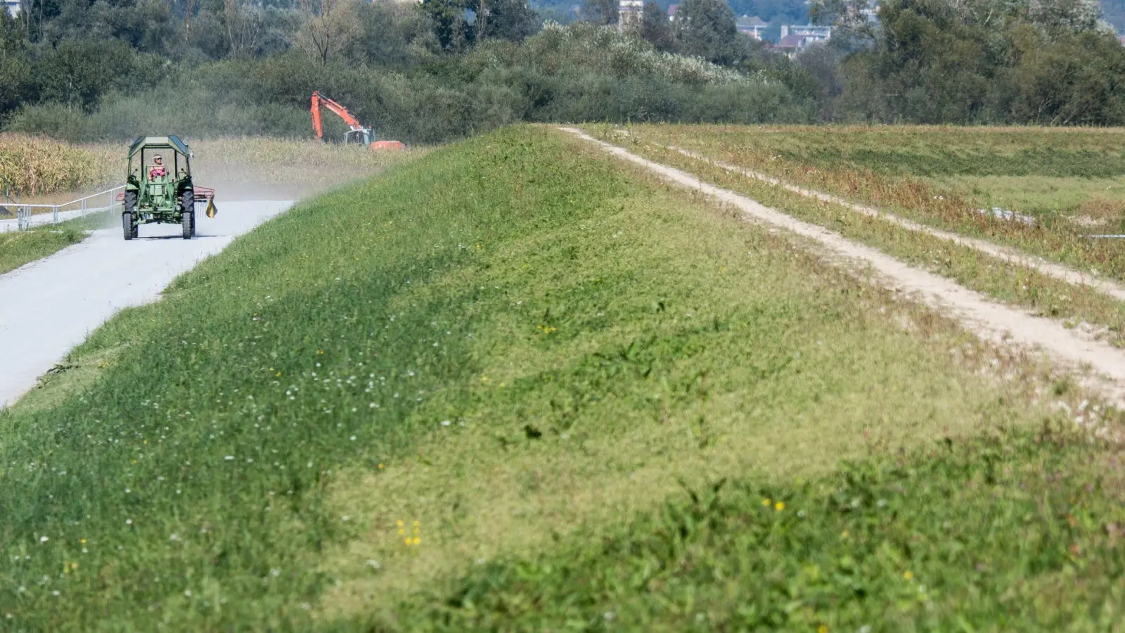 Nach einer Hochwasserkatastrophe wurden im Raum Deggendorf neue Dämme gebaut. Naturschützer verlangen allerdings mehr natürlichen Hochwasserschutz. (Archivbild) (Foto: picture alliance / dpa)
