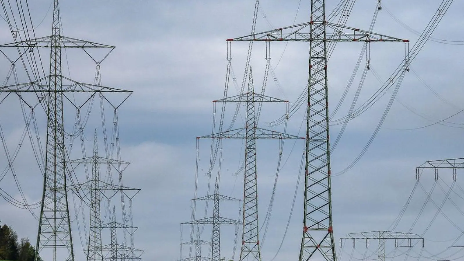 Der Bau ober- statt unterirdischer Stromtrassen soll Zeit und Geld sparen. (Foto: Jan Woitas/dpa)