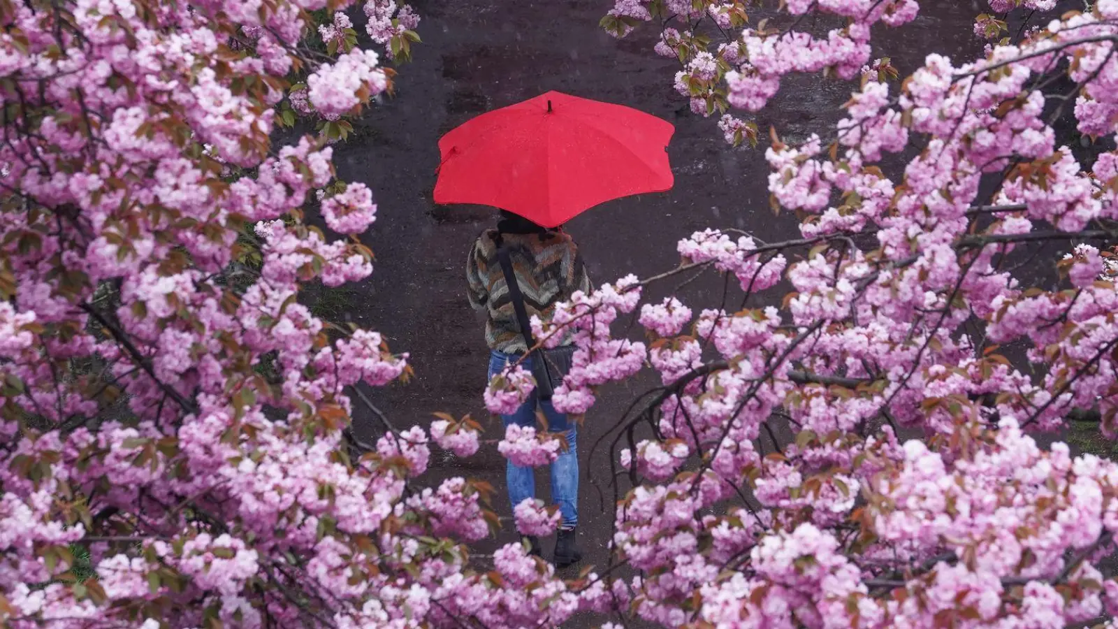 Aktiv werden, damit die Stimmung besser wird: Auch wenn das mit einer Depression nicht immer einfach ist - Bewegung an der frischen Luft kann Betroffenen helfen. (Foto: Jörg Carstensen/dpa/dpa-tmn)