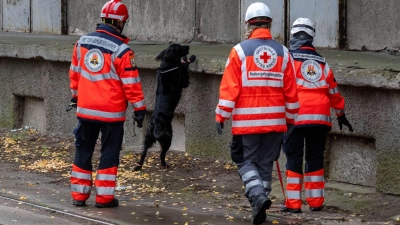 Mehrere Rettungshundestaffeln suchen in Güstrow nach einem Jungen. (Foto: Stefan Sauer/dpa)