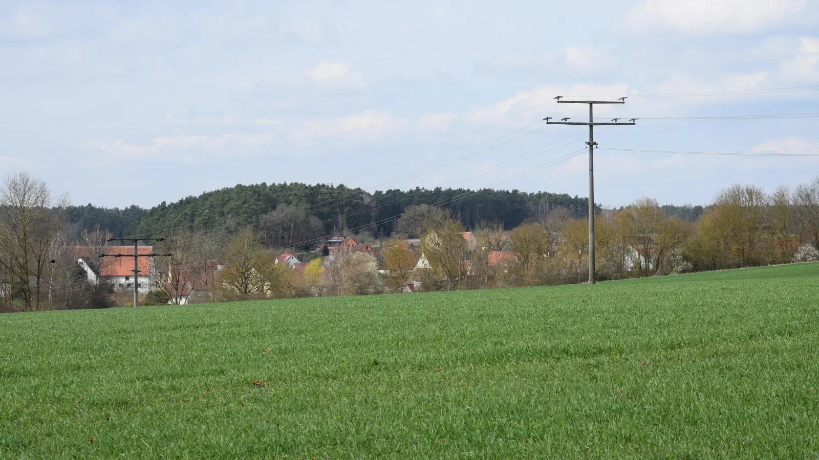 Wird das Gewerbegebiet bei Aich Realität, wird es negative ökologische Auswirkungen wie Flächenversiegelung geben. Diese Folgen sind laut Bürgermeister Christoph Schmoll aber an jedem Standort gleich. (Foto: Florian Schwab)