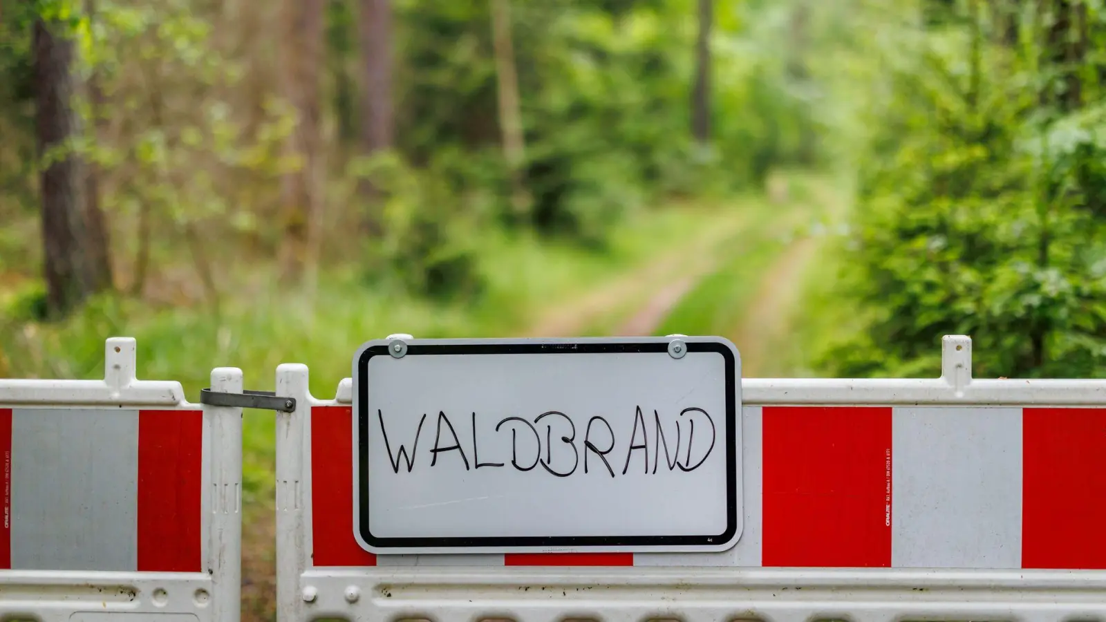 In Bayern besteht in den kommenden Tagen Waldbrandgefahr. (Archivbild) (Foto: Daniel Karmann/dpa)