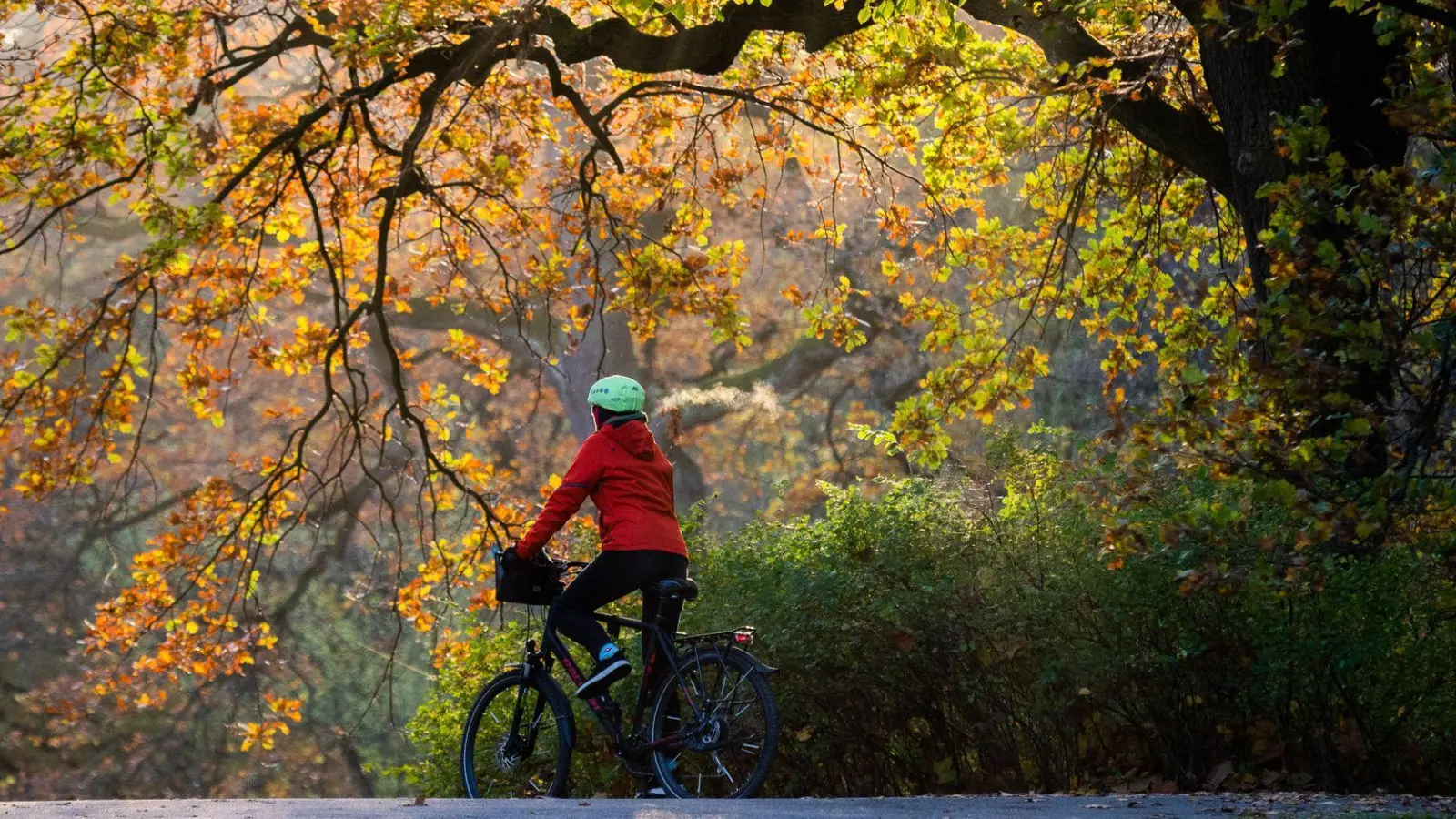 Sicher durch den Herbst: Fahrradfahrer sollten auf passenden Reifendruck, eingeschaltetes Licht und gepflegte Bremsen und Ketten achten. (Foto: Julian Stratenschulte/dpa/dpa-tmn)