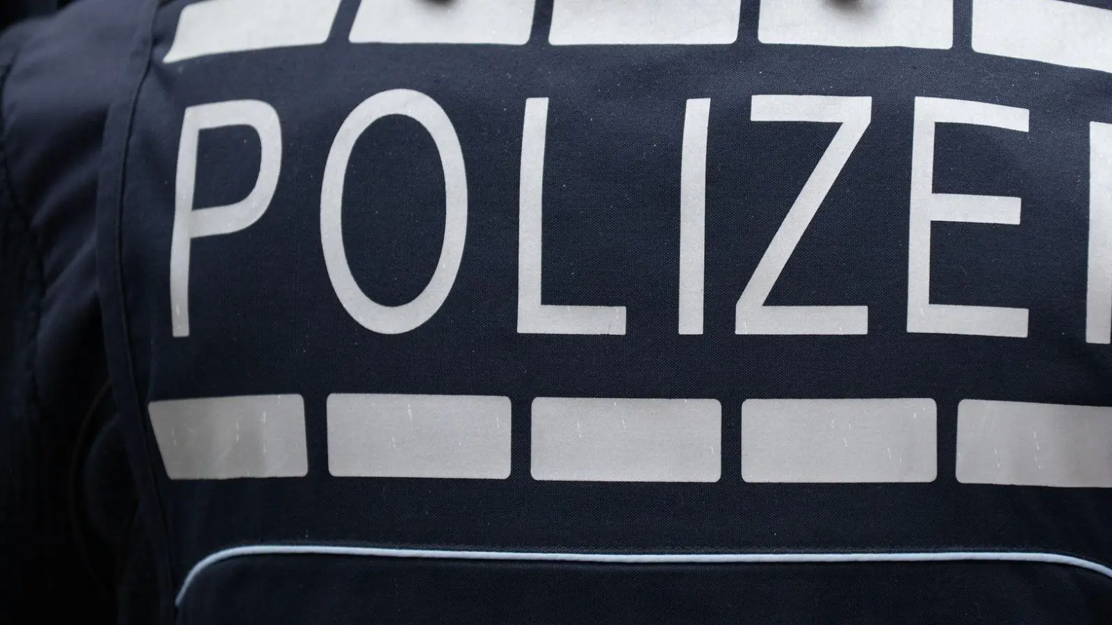 Der Verein „Artgemeinschaft“ wurde 2023 verboten. (Symbolbild) (Foto: Silas Stein/dpa)