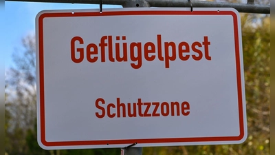 Erneuter Ausbruch der Geflügelpest in der Region: Diese Dinge müssen Sie wissen. (Symbolbild: Patrick Pleul/dpa-Zentralbild/dpa/Archivbild)