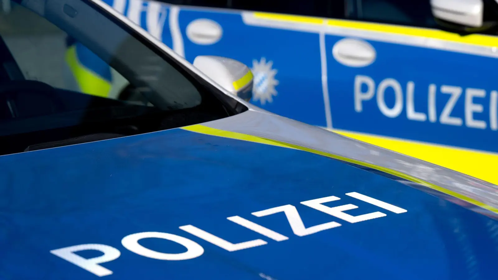 Die Polizei fahndet nach zwei jungen Männern. (Symbolbild) (Foto: Sven Hoppe/dpa)