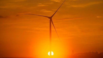 Vorhandene Windkraft war ein Standortfaktor für den Aufbau eines Rechenzentrums in Dummerstorf bei Rostock. (Archivbild) (Foto: Jens Büttner/dpa-Zentralbild/dpa)