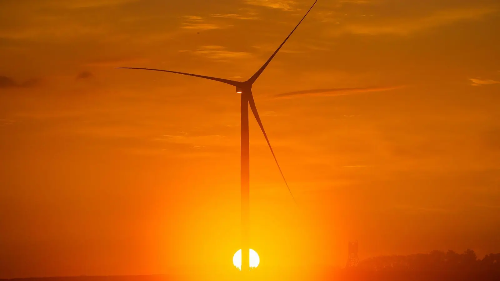 Vorhandene Windkraft war ein Standortfaktor für den Aufbau eines Rechenzentrums in Dummerstorf bei Rostock. (Archivbild) (Foto: Jens Büttner/dpa-Zentralbild/dpa)