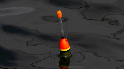 Einen 34 Zentimeter großen lebenden Fisch fand die Polizei an der Angel des Jugendlichen. (Symbolbild) (Foto: Stefan Sauer/dpa)