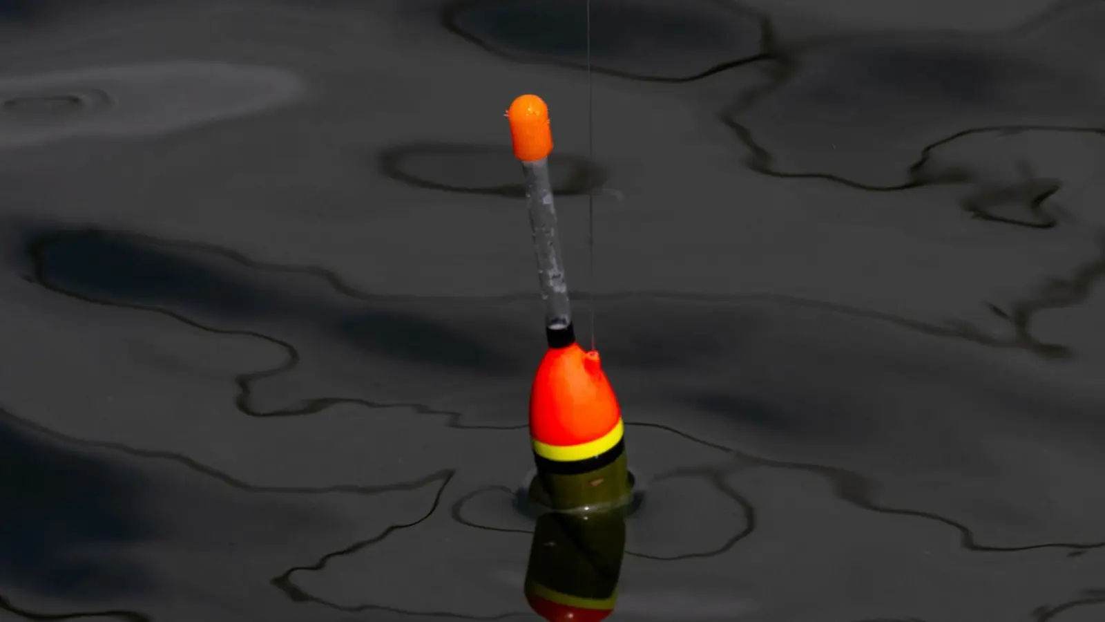 Einen 34 Zentimeter großen lebenden Fisch fand die Polizei an der Angel des Jugendlichen. (Symbolbild) (Foto: Stefan Sauer/dpa)