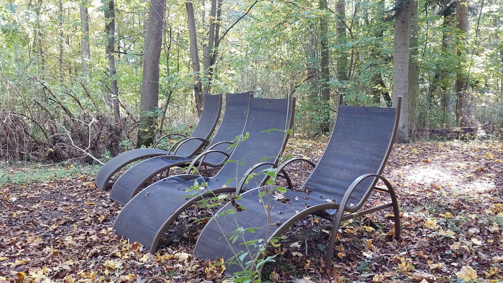 Einladung zum Waldbaden - gesehen in Rothenburg (Foto: Ingrid Reuther)