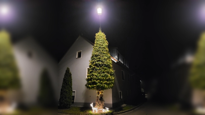 In Mittelbach erstrahlt auch in diesem Jahr das Efeuwunder.  (Foto: Florian Weiß)
