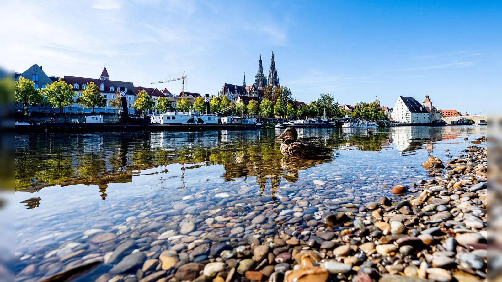 Entwarnung: Das Wasser der Donau soll keine gefährlichen Blaualgen enthalten. (Symbolbild) (Foto: Armin Weigel/dpa)