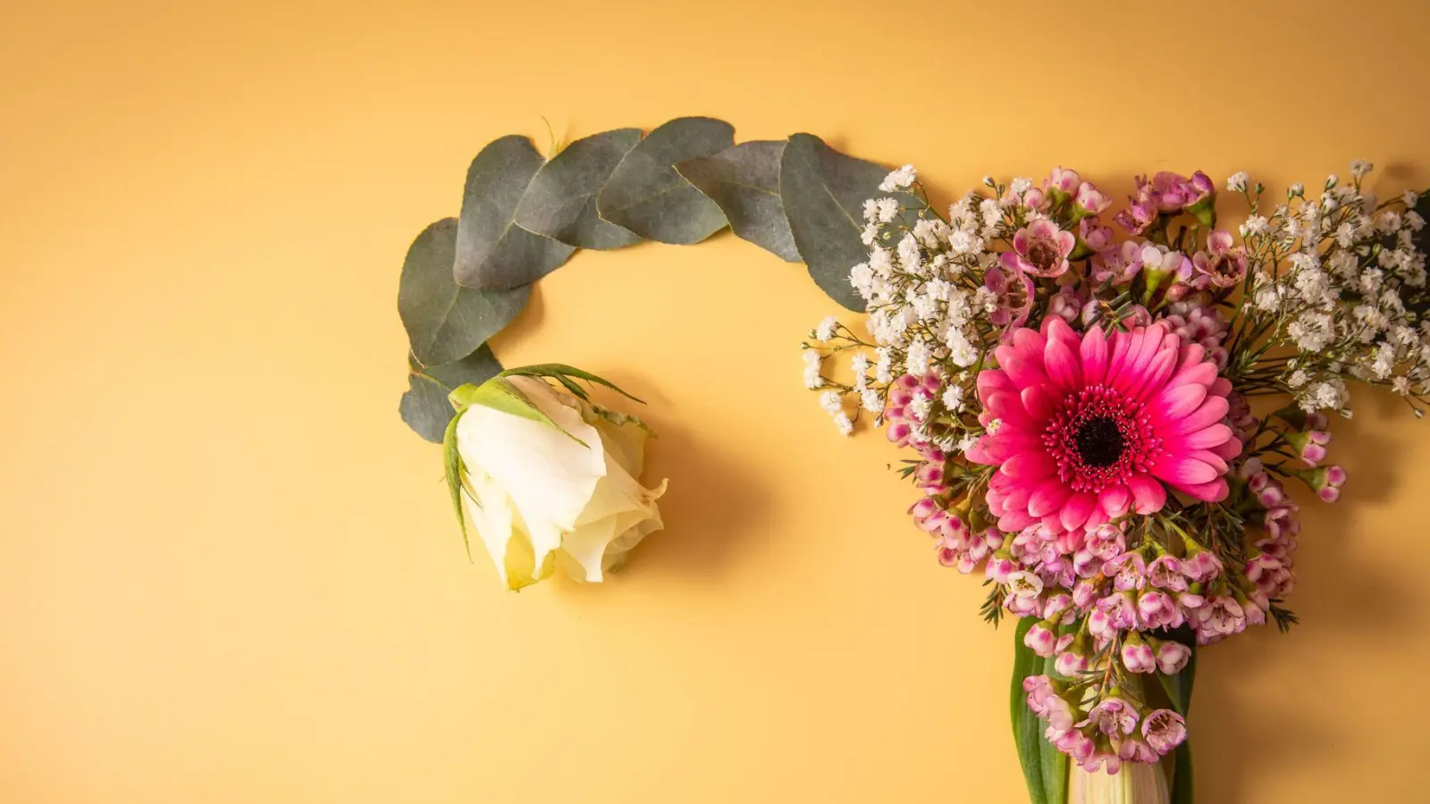 Häufiges Leiden: Unterleibsbeschwerden gehören zu den am weitesten verbreiteten gynäkologischen Problemen und betreffen Frauen in jedem Lebensalter. (Foto: Christin Klose/dpa-tmn)