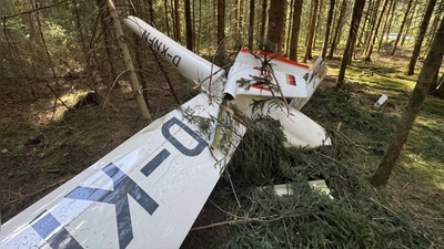 Der Pilot dieser Maschine vom Aero-Club Ansbach konnte sich vor dem Absturz mit dem Fallschirm retten.  (Foto: NEWS5 / Lars Haubner)