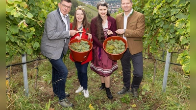 Staatssekretär Sandro Kirchner (CSU, r) vertrat bei der Eröffnung der Weinlese die krankheitsbedingt fehlende Landwirtschaftsministerin Michaela Kaniber (CSU). (Foto: Julien Becker/dpa)