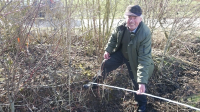 Die orangenen Stickel in der Hecke (links) zeigen die Grundstücksgrenze an. Nach vorne – zur Pfahlenheimer Straße hin – kündigt Karl Ballmann einen Heckenschnitt für nächstes Jahr an. (Foto: Ulli Ganter)