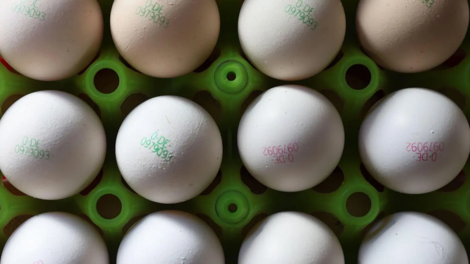 Das Veterinäramt am Landratsamt Ansbach ruft Geflügelhalter zu erhöhter Wachsamkeit auf.  (Symbolbild: Karl-Josef Hildenbrand/dpa)