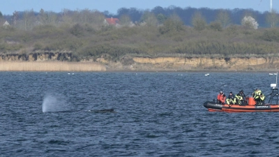 Heute sind laut Umweltministerium vorerst keine weiteren Aktionen geplant. (Archivbild) (Foto: Stefan Sauer/dpa)