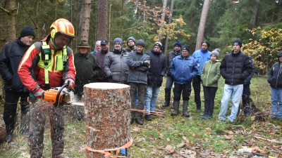 Jürgen Bauernfeind demonstriert, wie bei einem Fällschnitt mit Fallkerb, Stechschnitt und der Anlage eines Haltebandes vorgegangen wird, damit ein zu fällender Baum auch in die gewünschte Richtung fällt. (Foto: Fritz Arnold)