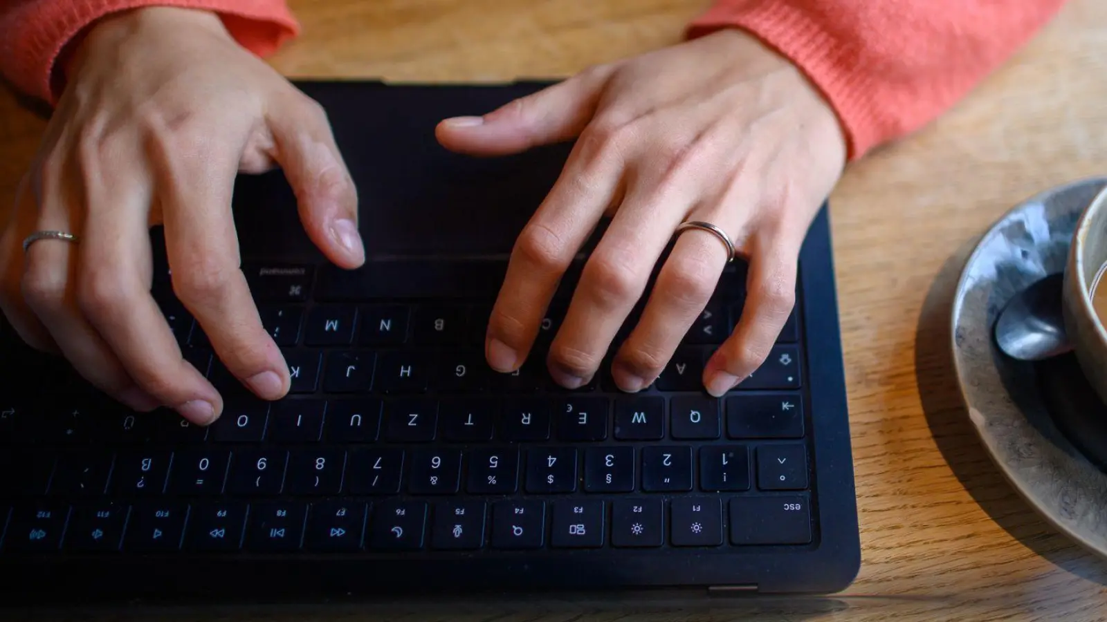 „Nur kurz die IBAN eingeben“ klingt harmlos – kann aber teuer werden. Das Amtsgericht Bernau sagt: Das ist nicht automatisch ein versicherter Phishing-Fall in der Hausratpolice. (Foto: Klaus-Dietmar Gabbert/dpa/dpa-tmn)