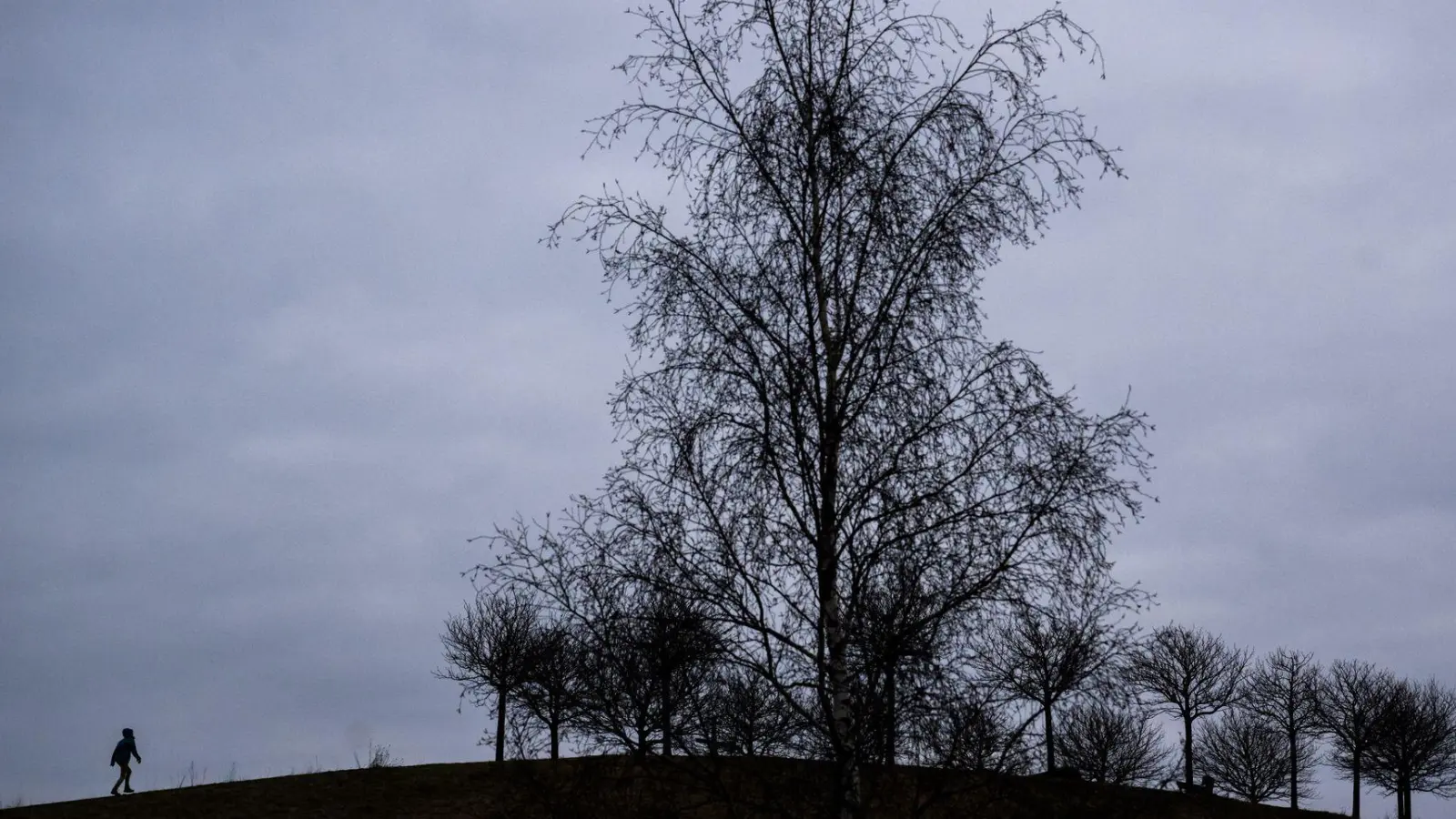 Nicht jeder, der sich im Winter niedergeschlagen fühlt, leidet unter einer Winterdepression. (Foto: Julian Stratenschulte/dpa/dpa-tmn)