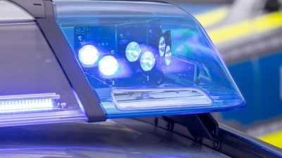 Die Polizei sucht den Besitzer der Schlange. (Symbolbild) (Foto: Daniel Karmann/dpa)