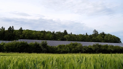An der Blinksteige befindet sich eine städtische Photovoltaikanlage. Eventuell wäre hier das Modell „Energiesharing” möglich. (Foto: Simone Hedler)