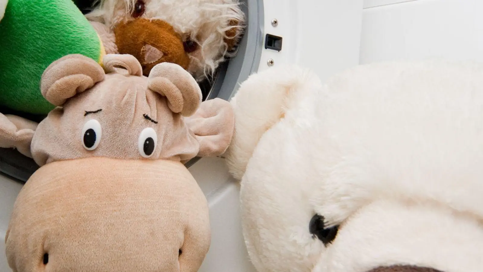 Kuscheltiere sollten nur in der Waschmaschine gereinigt werden, wenn der Hersteller das auch empfiehlt. (Foto: Andrea Warnecke/dpa-tmn)