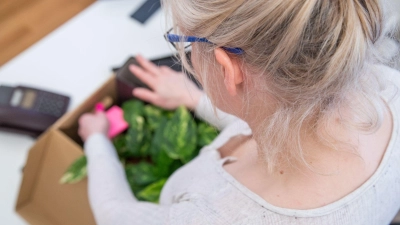 Hat Ihnen Ihr Arbeitgeber die Probezeit einseitig verkürzt? Dann hat das keine Auswirkungen auf Ihre Kündigungsfrist, Sie können trotzdem kurzfristig Ihre sieben Sachen packen. (Foto: Christin Klose/dpa-tmn)