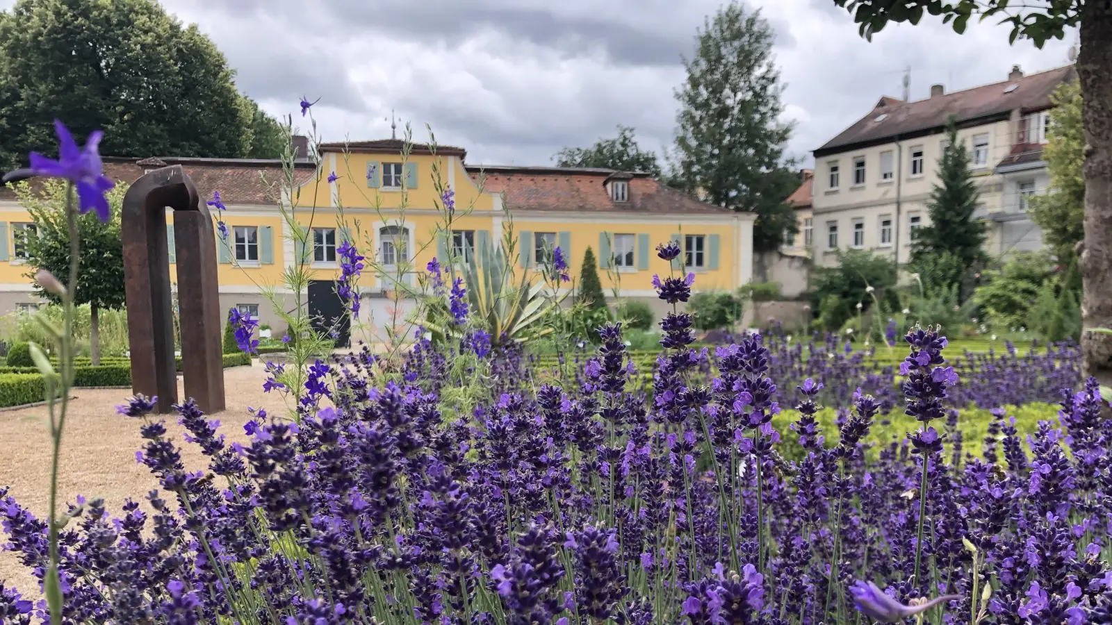 Gartenfreunden geht das Herz auf: Der lilafarbene Lavendel lockt aber auch zahlreiche Bienen an. (Foto: Florian Pöhlmann)