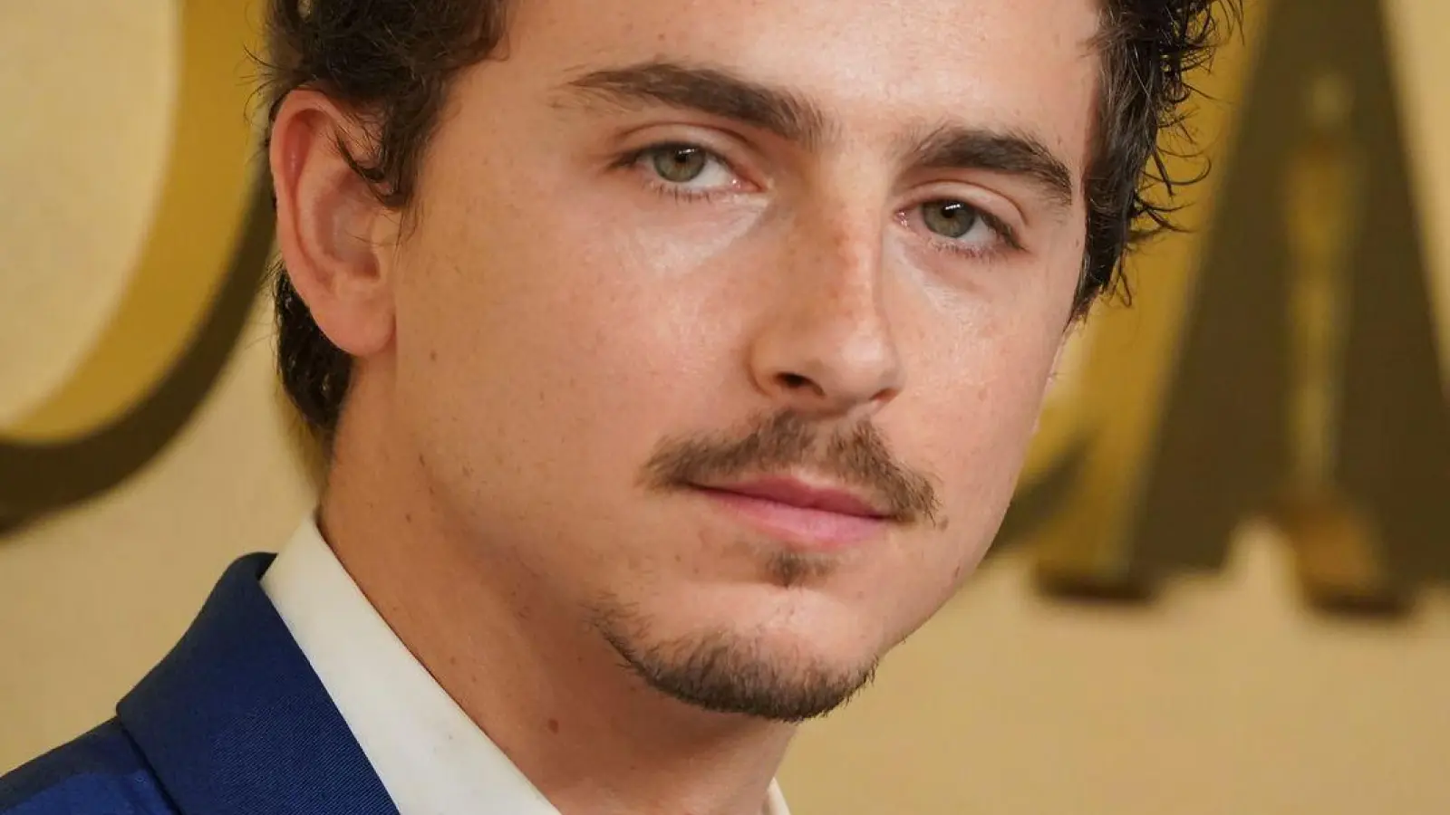 Er gilt als ein Oscar-Favorit: Timothée Chalamet. (Archivbild) (Foto: Jordan Strauss/Invision/AP/dpa)