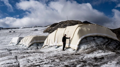 Schafswolle als Schmelzschutz: Mit Decken sind Bereiche des Tsanfleurongletschers im Schweizer Kanton Wallis abgedeckt. (Foto: Jean-Christophe Bott/KEYSTONE/dpa)