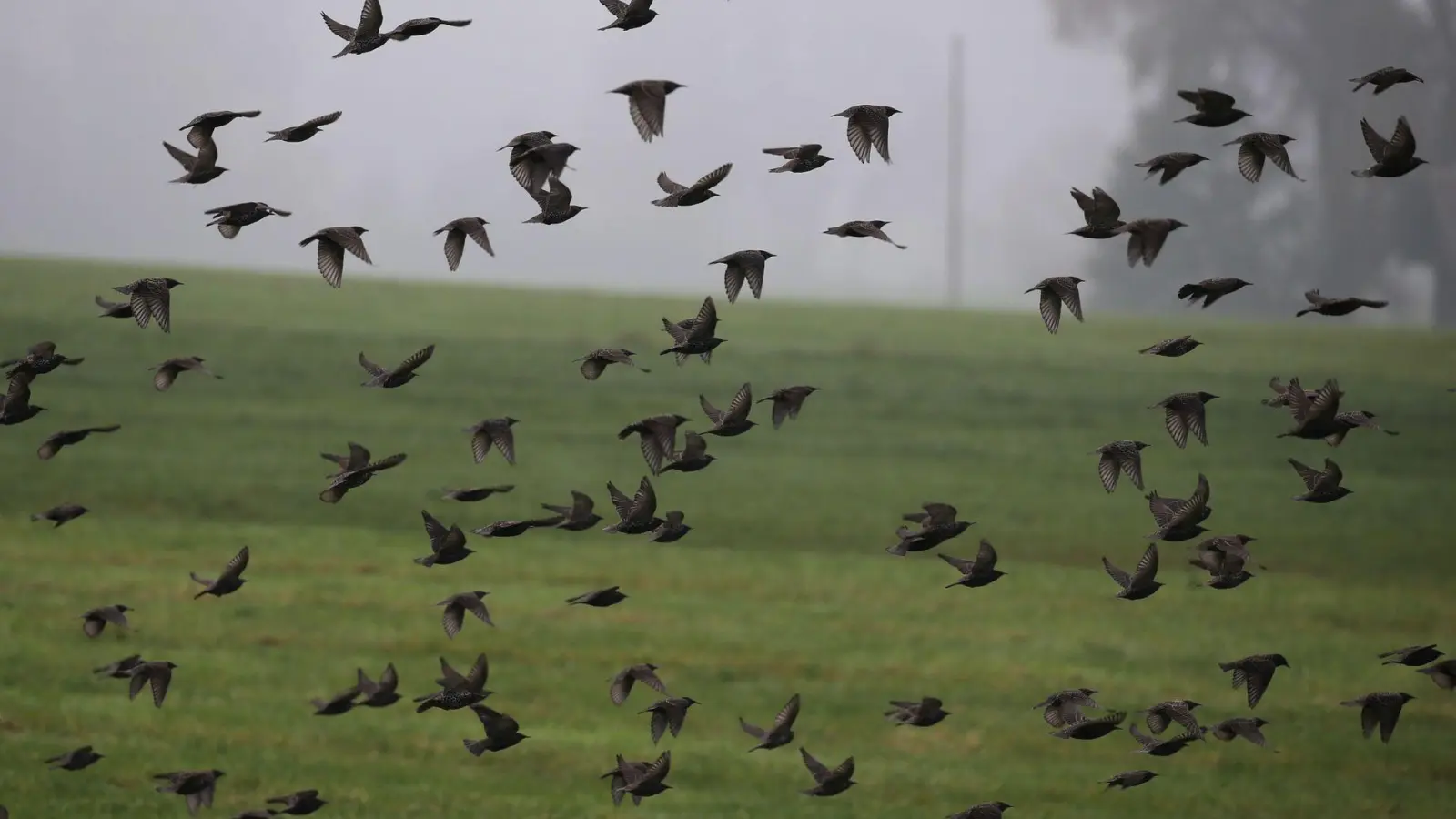 Am Himmel ist im Herbst viel los. (Archivbild) (Foto: Karl-Josef Hildenbrand/dpa)