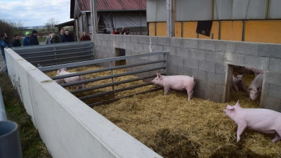 Landrat Christian von Dobschütz besuchte auch den Betrieb der Familie Henninger in Ottenhofen. Moritz Henninger erläuterte den Weg der Umstellung vom konventionellen Schweinebetrieb auf ökologische Landwirtschaft. Sorgen bereitet ihm die Zukunft der eigenen Biogasanlage. (Foto: Gerhard Krämer)