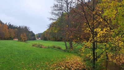 Auf einer Länge von rund 460 Metern soll die Aurach in der Nähe der Jakobsruh bei Wollersdorf renaturiert werden. Teil des Projektes ist ein Wasserwanderweg. (Foto: Florian Schwab)