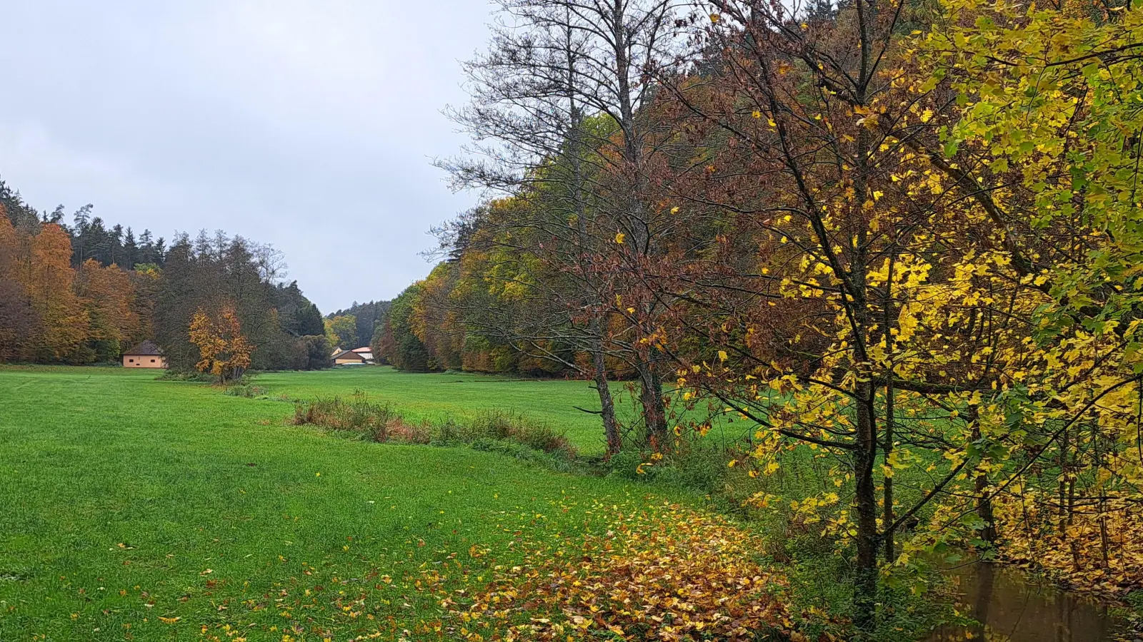 Auf einer Länge von rund 460 Metern soll die Aurach in der Nähe der Jakobsruh bei Wollersdorf renaturiert werden. Teil des Projektes ist ein Wasserwanderweg. (Foto: Florian Schwab)