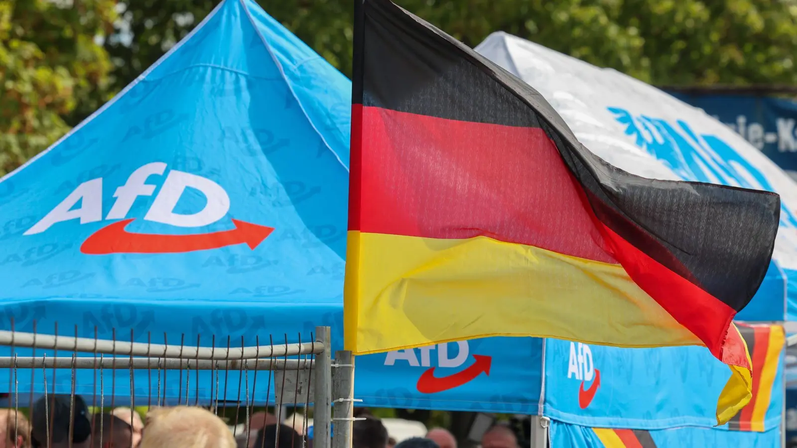 In Umfragen klar vorn: die AfD in Sachsen-Anhalt.  (Foto: Peter Gercke/dpa)