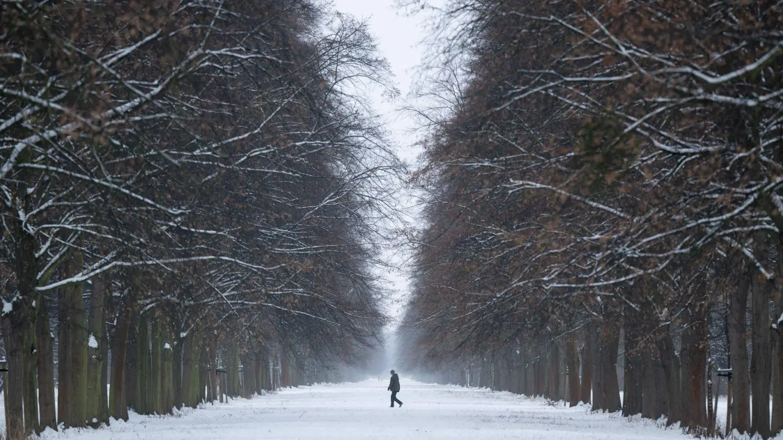 Das Wetter in Deutschland bleibt winterlich. (Foto: Sebastian Kahnert/dpa)