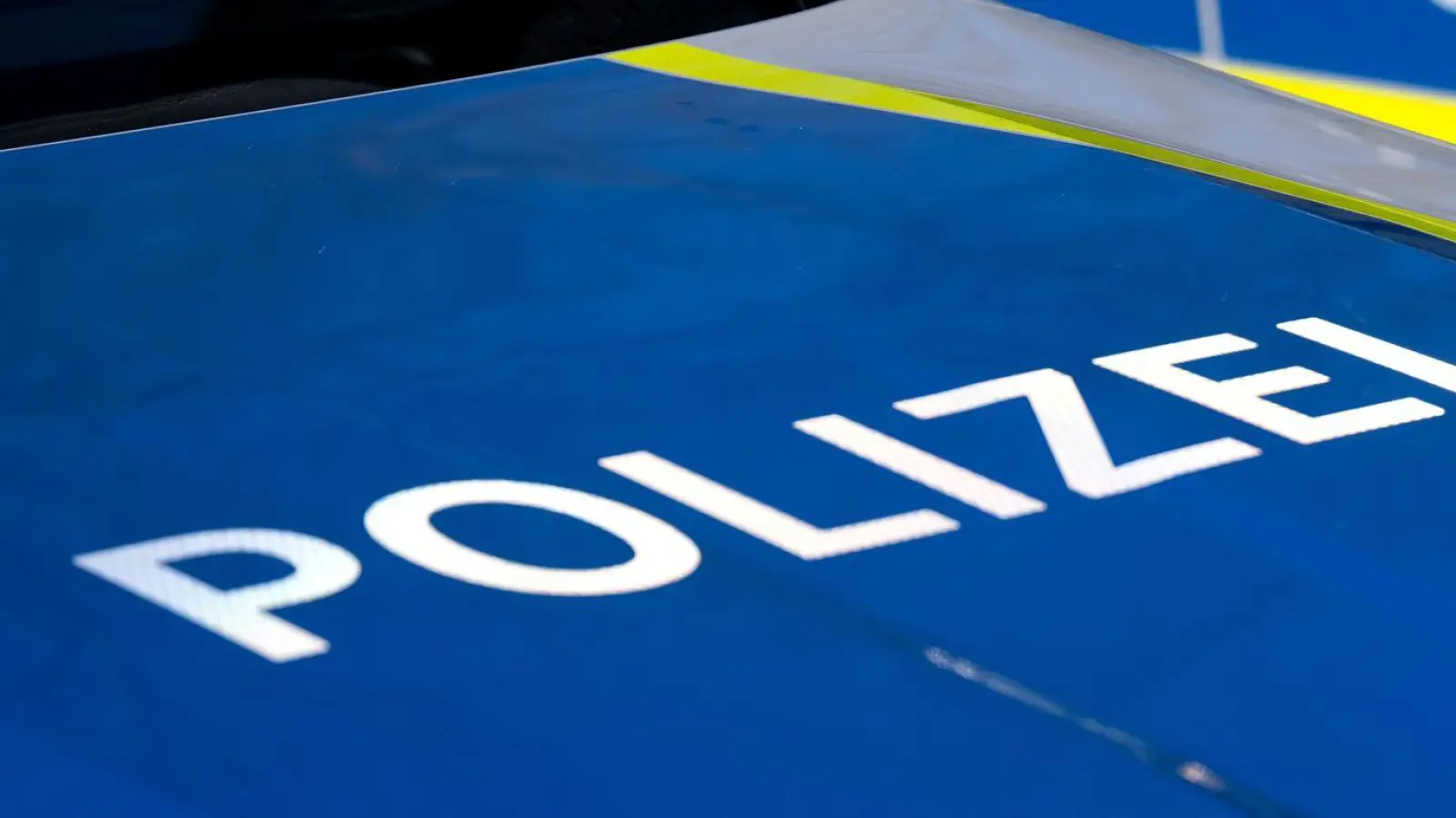 Die Polizei übergibt die Küken in Sicherheit. (Symbolbild) (Foto: Sven Hoppe/dpa)