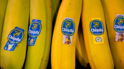 Bananen von Chiquita liegen in einem Supermarktregal in Bayern. (Archivbild)  (Foto: Sven Hoppe/dpa)