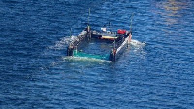 Das Transportschiff mit dem Wal ist seit mehreren Tagen unterwegs. (Foto: Christoph Reichwein/dpa)