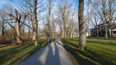 Am 26. Dezember wurde ein Rollstuhlfahrer im Kurpark von Bad Windsheim mit einem Messer schwer verletzt. (Archivbild: Anna Franck)