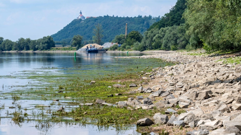 Regenmangel macht sich am Donauufer bemerkbar. (Foto: Armin Weigel/dpa)