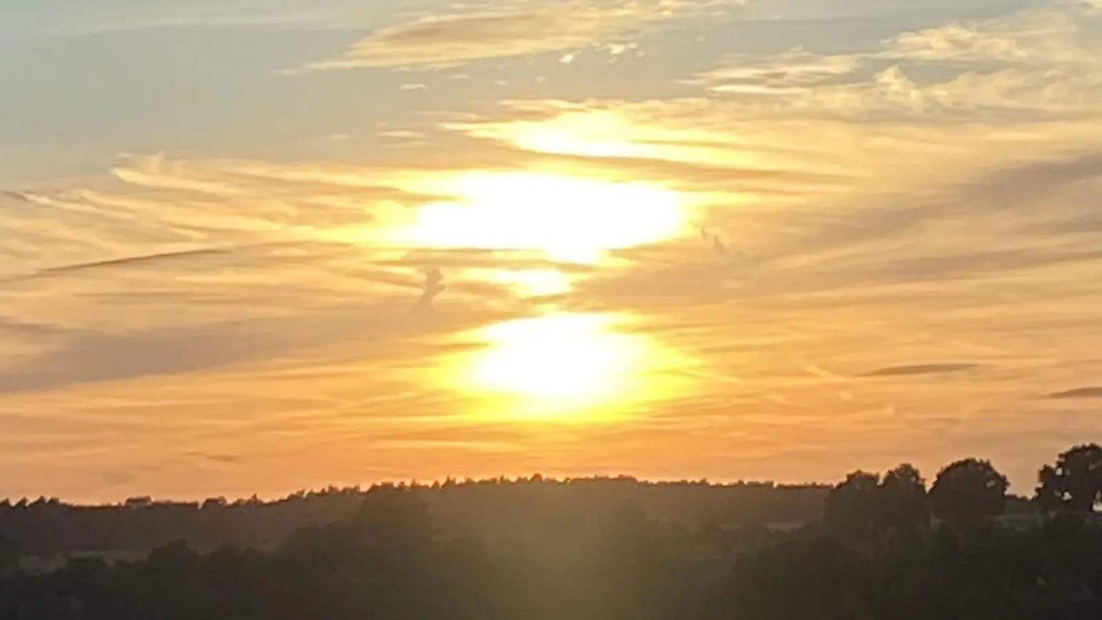 Orangefarbene Sinfonie – gesehen in Oberniederndorf (Foto: Manuela Loscher-Frühwald)
