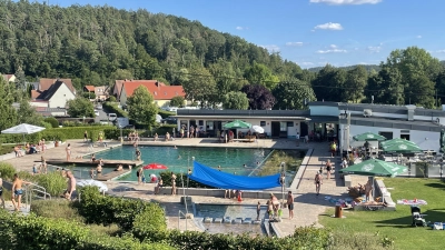 Das Freibad Münchsteinach gibt es als Naturbad erst seit wenigen Jahren. (Foto: Julia Zink)